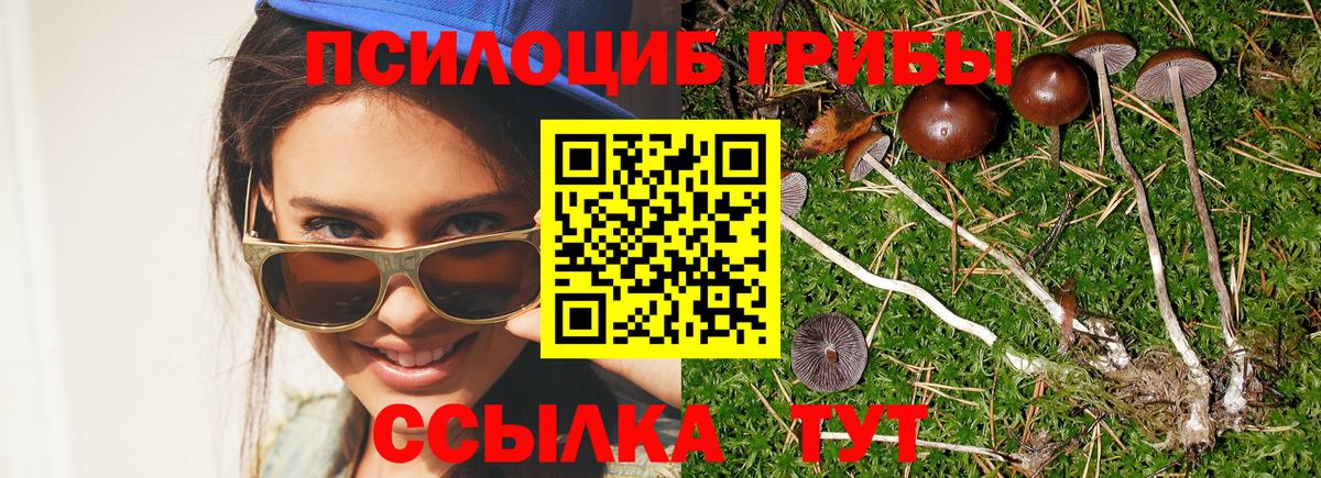 Псилоцибиновые грибы GOLDEN TEACHER Каспийск